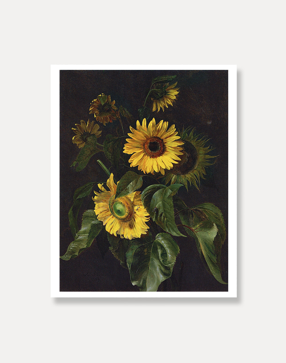 [아폴리네르 루이 시카르드]Louis Apollinaire Sicard ― Sunflowers 56 x 71 cm  주문 후 1개월 소요