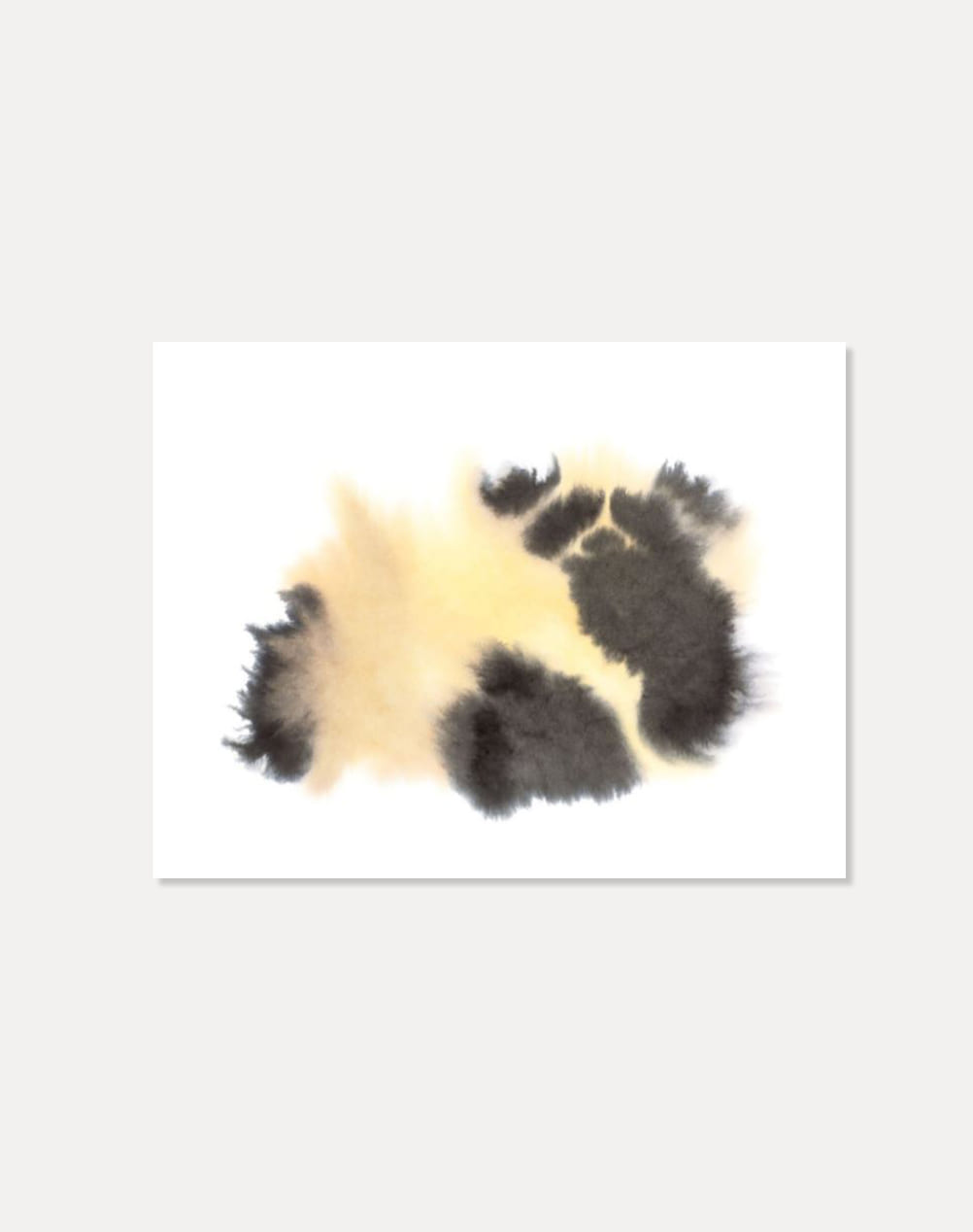 [롭 반 미엘로]ROP VAN MIERLO — PANDA, 2020 (액자포함) 50 × 67.8 cm 